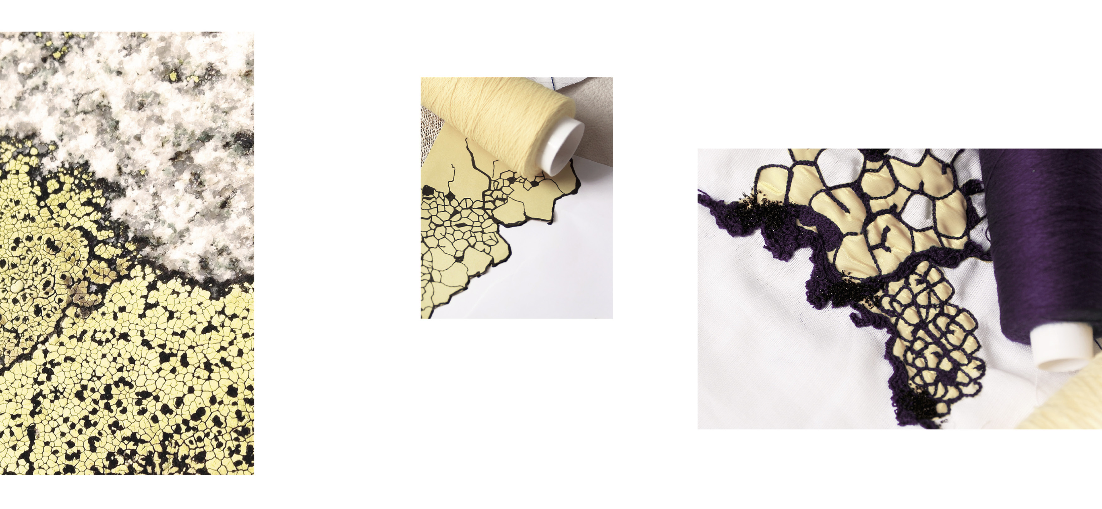 files/projects/16_mila/medias/4_mila myrte studio©Michela Aragni.jpg_844x390_300dpi